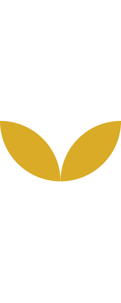 geometric shape